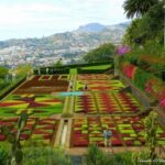 Guided Tuk-Tuk Tour to Botanical Garden (From Funchal) - The Sum Up: Who Should Consider This Tour?