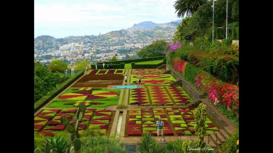 Guided Tuk-Tuk Tour to Botanical Garden (From Funchal) - The Sum Up: Who Should Consider This Tour?