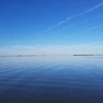 Guided Two Hour Boat Tour of the Indian River Lagoon - The Sum Up