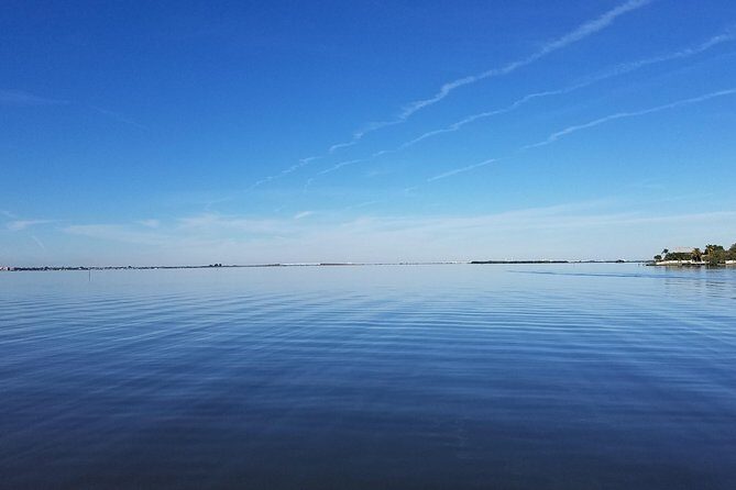 Guided Two Hour Boat Tour of the Indian River Lagoon - The Sum Up