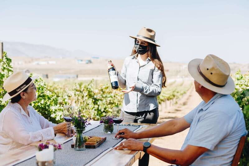Guided Vineyard Tour with Wine Tasting at Rondo del Valle - Why This Tour Offers Good Value