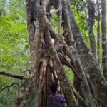 Guided visit in the Palenque jungle (Palenque National Park) - Who Will Love This Tour?
