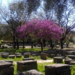 Guided visit to ancient Olympia with an Italian-Greek archaeologist tour guide - Walk Through the Ruins: The Heart of Olympia