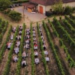 Guided Walk and Lunch in the Vineyard in Alba - Final Thoughts: Who Will Love This Tour?