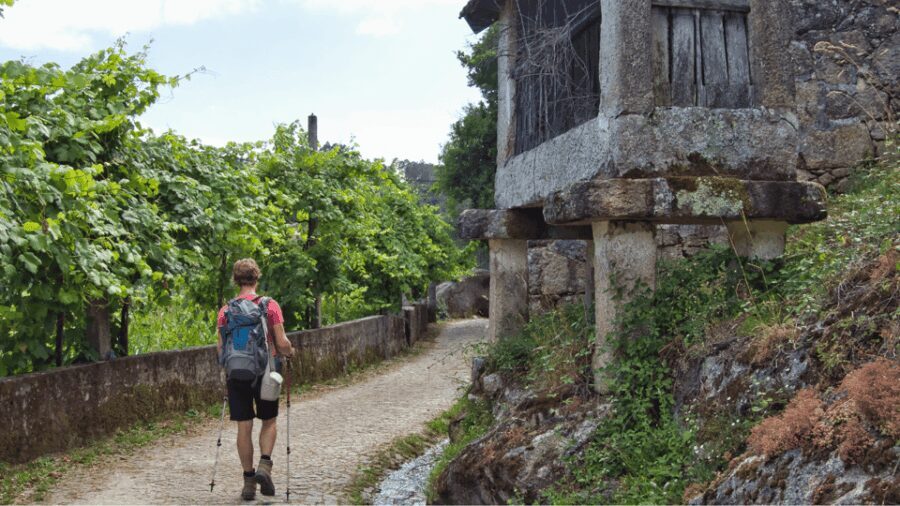 Guided Walk & Picnic Peneda Gerês National Park - Discovering the Beauty of Peneda Gerês National Park