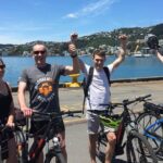 Guided Wellington Tour by Electric Bike - Authentic Insights from the Reviews