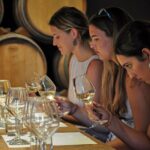 Guided Winery Tour and Wine Tasting in Siena - Practical Details and Considerations