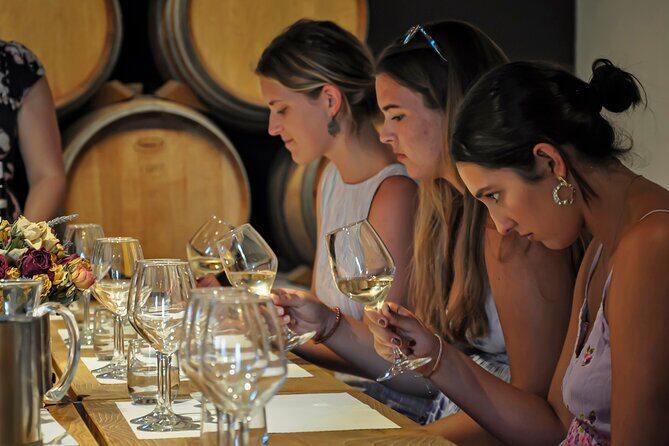Guided Winery Tour and Wine Tasting in Siena - Practical Details and Considerations