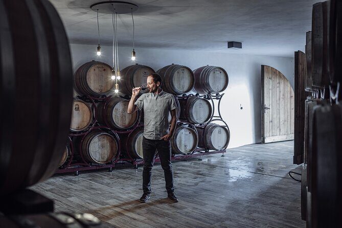 Guided winery tour with tasting in Bolzano at the SKYWINE PAVILLON - What You’ll Experience Step-by-Step