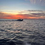 Gulf of Morbihan cruise with/without stopover on Île-aux-Moines - Real Traveler Perspectives