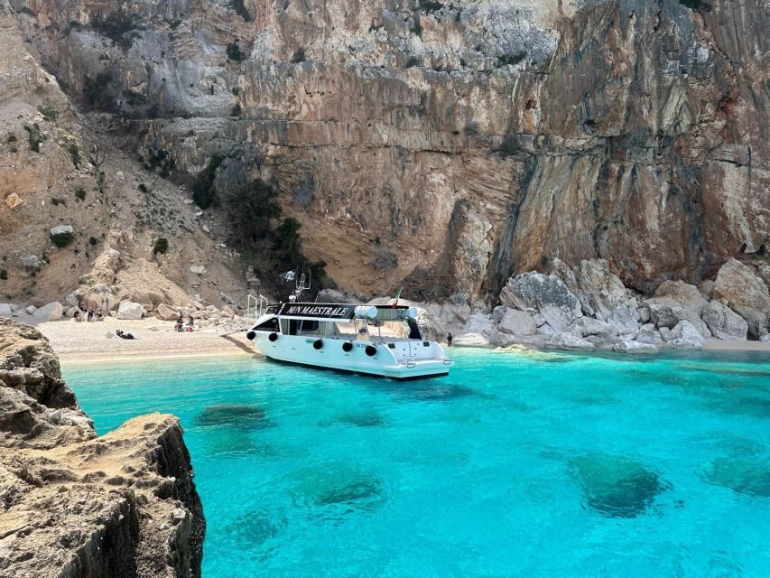 Gulf of Orosei: Grotta del Bue Marino & Cala Luna Boat Tour - Key Points
