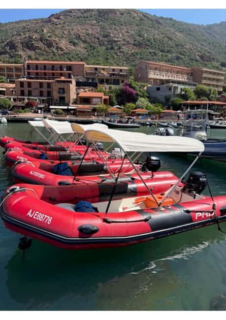 Gulf of Porto: Boat rental without a license - Detailed Breakdown of the Itinerary and Stops