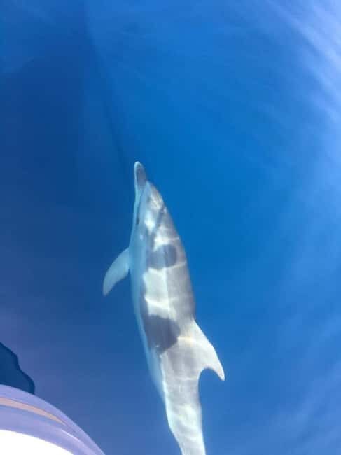 Gulf of Porto: Check out the Calanques de Piana and/or the Scandola Reserve - An In-Depth Look at the Corsican Coast by Boat