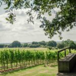 Gusbourne Wine Tasting 2pm - A Deep Dive: What Makes This Tasting Special?