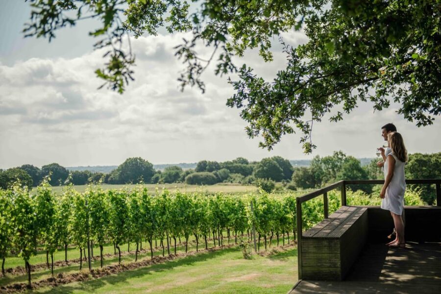 Gusbourne Wine Tasting 2pm - A Deep Dive: What Makes This Tasting Special?