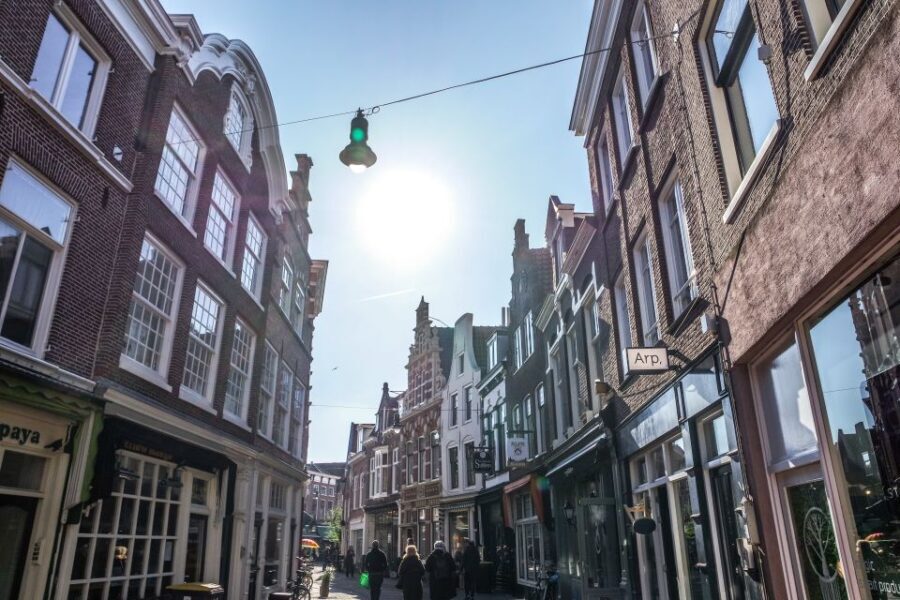 Haarlem: City Highlights Walking Tour - Who Should Take This Tour?