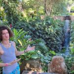 Hacienda Mucuyche & Oxkintok ruins & Cenotes: Carlota& Azul Maya - What Makes This Tour Stand Out