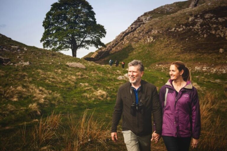 Hadrian's Wall & Roman Britain 1-Day Tour from Edinburgh - What the Reviews Reveal About the Experience