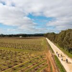 Hahndorf food and wine E-Bike Tour - Who Will Love This Tour