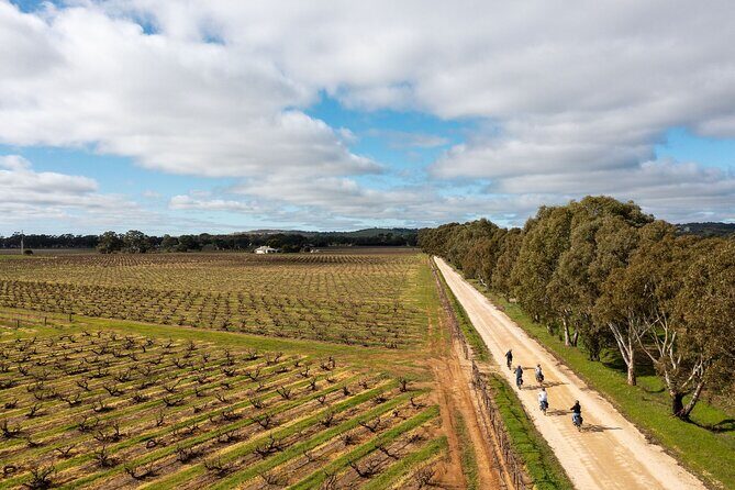 Hahndorf food and wine E-Bike Tour - Who Will Love This Tour