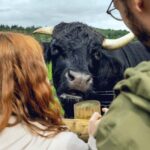 Hairy Coos & Highland Views: A Short Escape from Edinburgh - A Deep Dive into What You Can Expect
