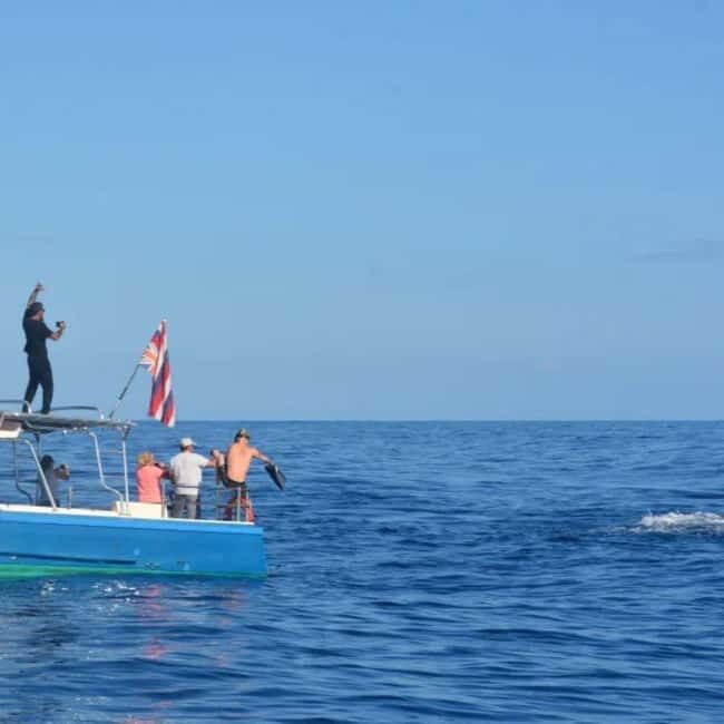 Haleiwa: North Shore Whale Watching Tour by Catamaran - The Experience: What to Expect on the Water