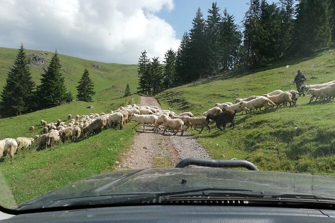 Half-Day 4x4 Tour in the Eastern Carpathians - Final Thoughts