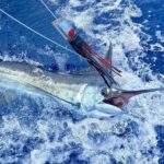 Half Day Afternoon Angler Charter - An Authentic Big Island Coastal Experience
