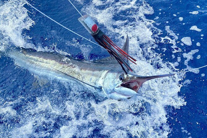 Half Day Afternoon Angler Charter - An Authentic Big Island Coastal Experience