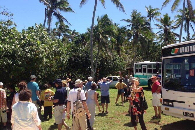 Half-Day Anahulu Cave and Cultural Tour - FAQ