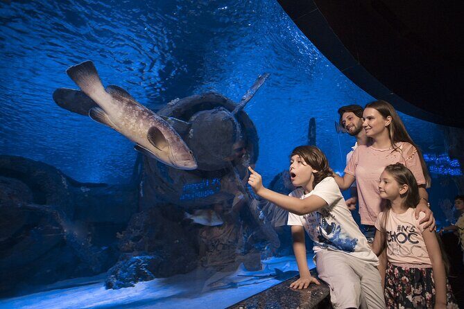 Half Day Antalya Aquarium Tour And Wax Museum - A Closer Look at the Antalya Aquarium and Wax Museum Tour