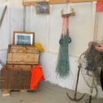 Half Day Arctic Fjord Cruise from Tromso - Meeting Point and Duration