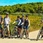 Half-Day Bike Tour in Lumbarda with Wine Tasting - What to Expect and Practical Tips