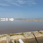 Half-day birdwatching around Tavira - FAQ