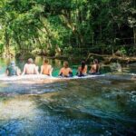 Half Day Blue Lagoon & Eden + Duty free shop'g Tour - An In-Depth Look at the Efate Island Highlights
