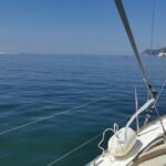 Half-Day boat experience - Comporta - Troia - Setubal - Deep Dive: What You Can Expect on the Day
