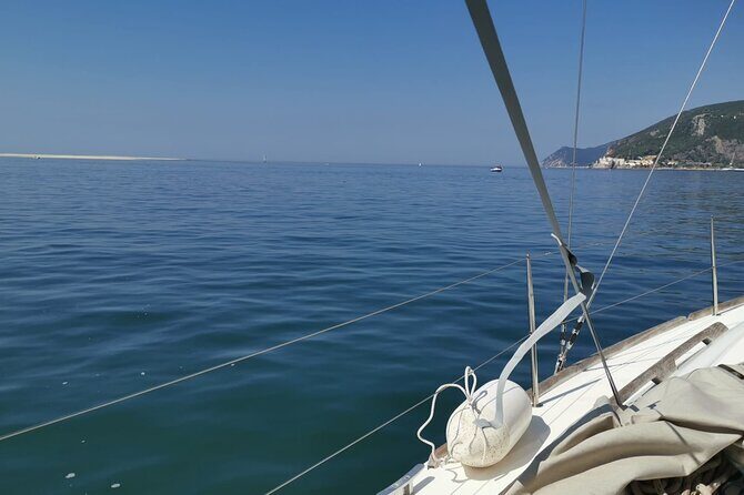 Half-Day boat experience - Comporta - Troia - Setubal - Deep Dive: What You Can Expect on the Day