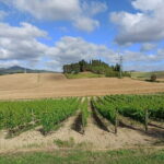 HALF-DAY: Chianti Classic Tour with Wine Experience & visit of San Gimignano - Who Will Love This Tour?