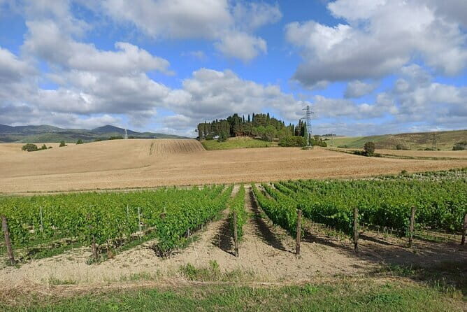 HALF-DAY: Chianti Classic Tour with Wine Experience & visit of San Gimignano - Who Will Love This Tour?