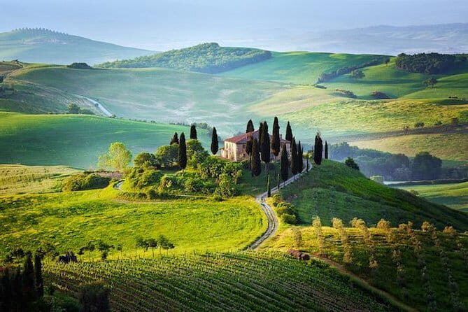 Half Day Chianti Wine Tour with Private Luxury Van - Why Choose This Tour?