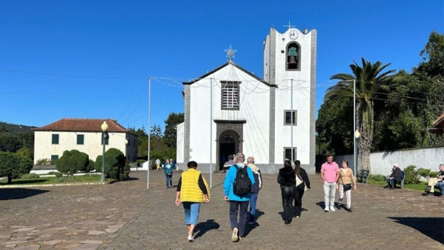 Half-Day Country Market Tour on Madeira Island - A Deep Dive into the Tour Experience