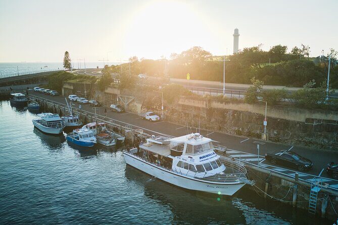 Half-Day Deep Sea Fishing in Wollongong - Weekdays only - Why We Think It’s Worth It