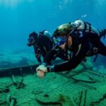 Half Day Dive Trip for Certified Divers - A Full Breakdown of the Experience
