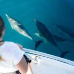 Half Day Dolphin & Wildlife Cruise - Tauranga - The Sum Up