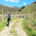 Half-Day E-Bike Tour in Prosecco Hills with Prosecco Tasting - Frequently Asked Questions