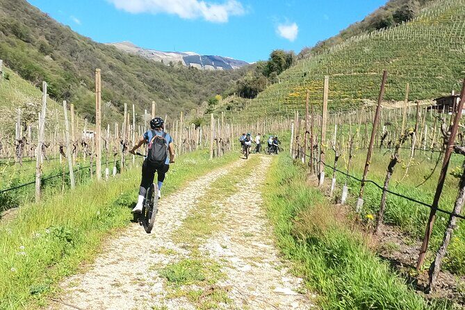 Half-Day E-Bike Tour in Prosecco Hills with Prosecco Tasting - Frequently Asked Questions