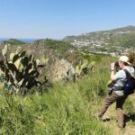 Half-day east coast hike in Ischia island with pick-up - A Closer Look at the Itinerary