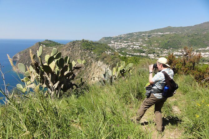 Half-day east coast hike in Ischia island with pick-up - A Closer Look at the Itinerary