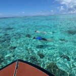 Half day Eco Snorkeling small group Tour in Bora Bora - FAQ