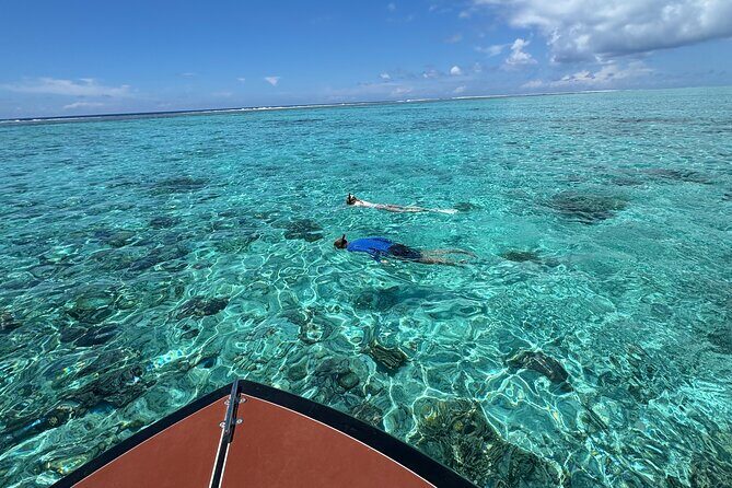 Half day Eco Snorkeling small group Tour in Bora Bora - FAQ